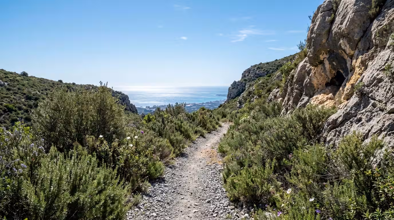 A wide-angle shot of a mountain bike trail winding through the Desierto de las Palmas natural park, the path cutting through dense Mediterranean scrubland of rosemary and cistus under a clear blue mid