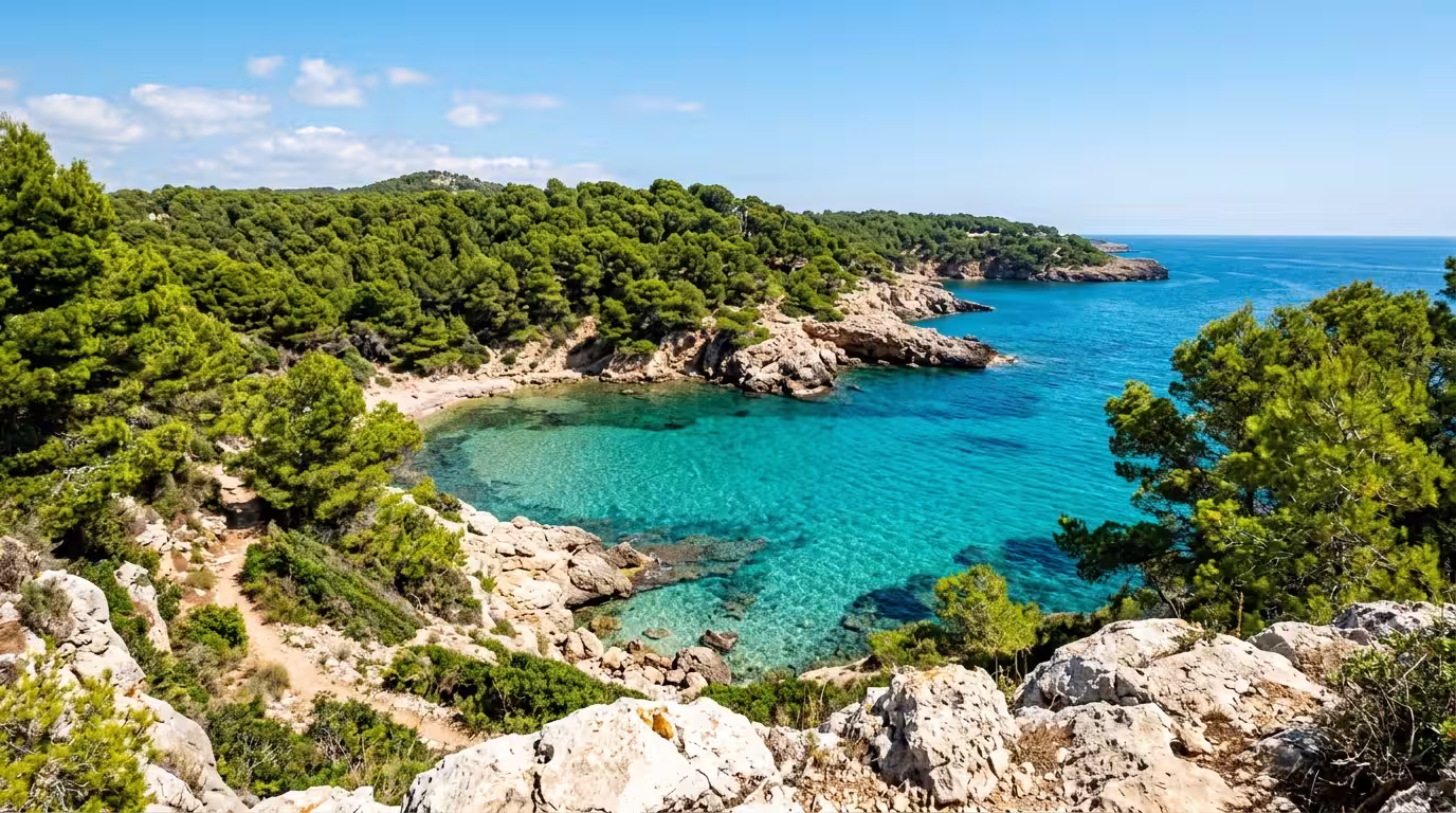 A wide-angle shot of the Cala de la Renegà hidden cove in Oropesa del Mar, photographed from a high rocky vantage point in bright clear midday light, showing the sheltered rocky inlet with intensely t