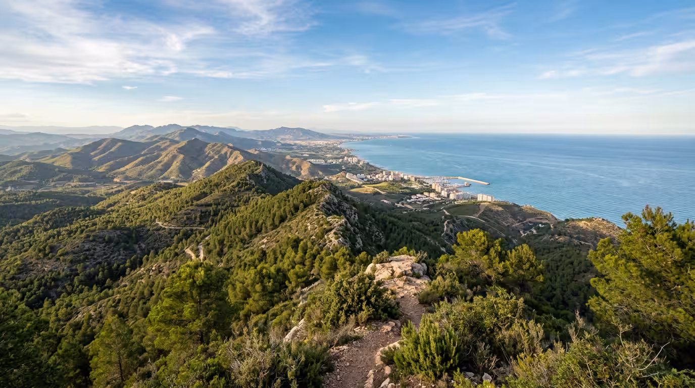 A breathtaking panoramic view from the summit of Alto del Colomer in the Desierto de las Palmas, Castellón — the pine-forested mountain slopes cascade down toward the glittering Mediterranean coastlin