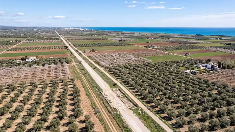 La Vía Augusta en Castellón: guía para recorrer la calzada romana junto a Oropesa del Mar
