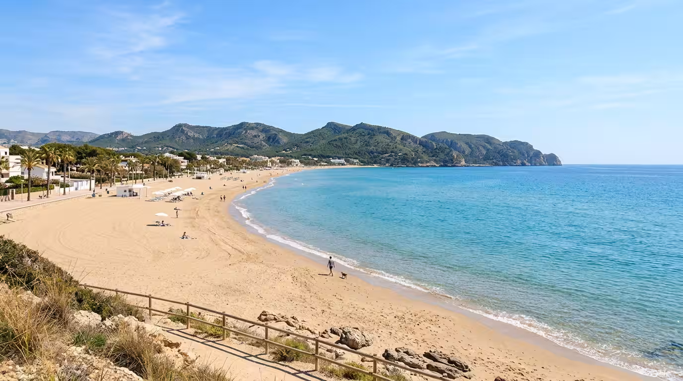 Vacaciones con tu perro en Oropesa del Mar: playas caninas, apartamentos pet-friendly y normas