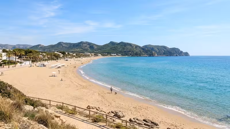 Vacaciones con tu perro en Oropesa del Mar: playas caninas, apartamentos pet-friendly y normas