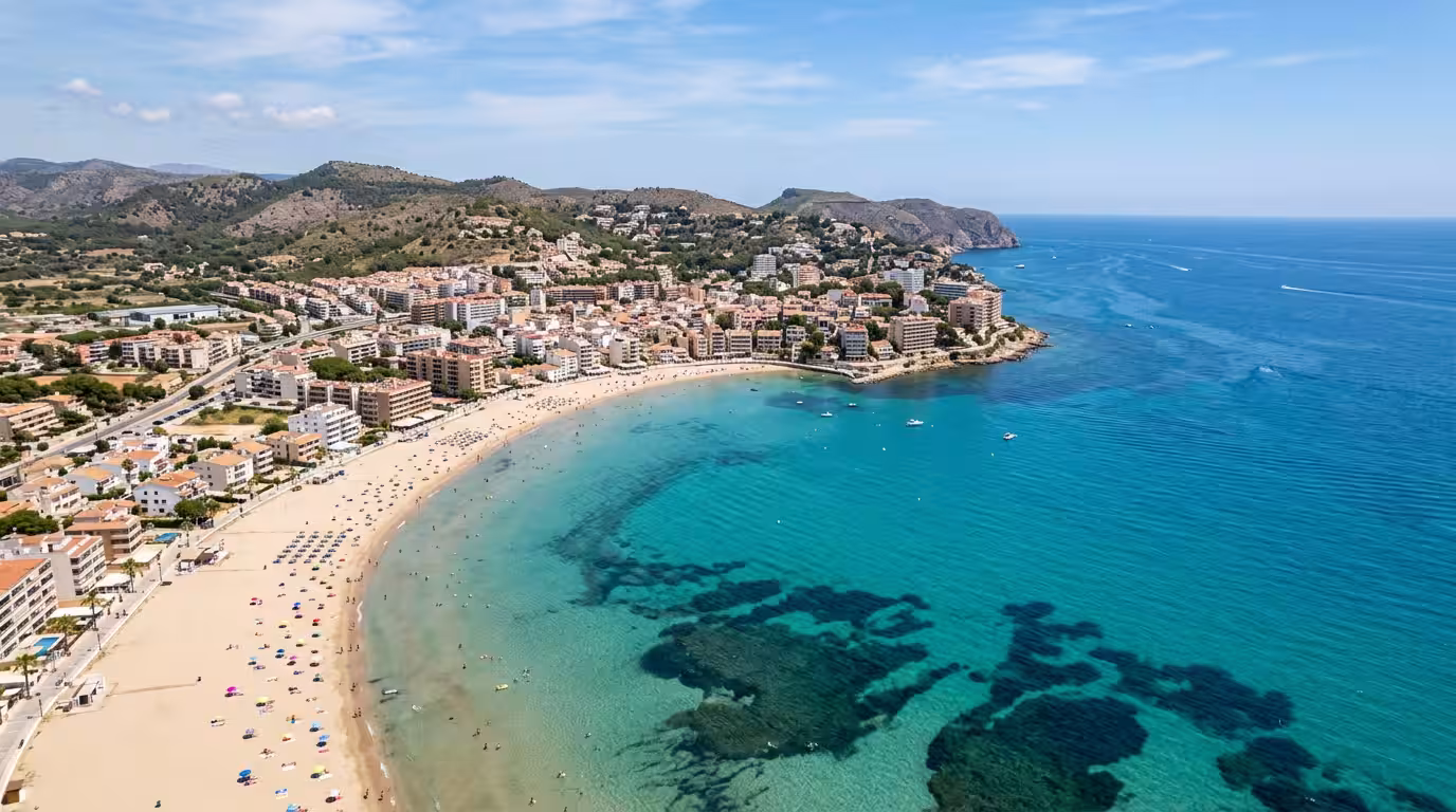 Praderas de posidonia oceánica en Oropesa del Mar: el tesoro submarino de Castellón